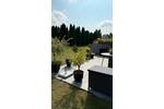 Reihenhaus Wittenberge - 4 Zimmer, 118 m&sup2;, 1.416&euro; | Angebot:26145769