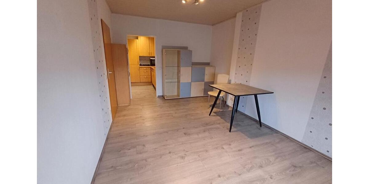 Erdgeschoßwohnung Elbtal - 2 Zimmer, 45 m&sup2;, 450&euro; | Angebot:26454149