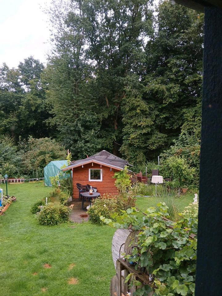 Wg Zimmer frei