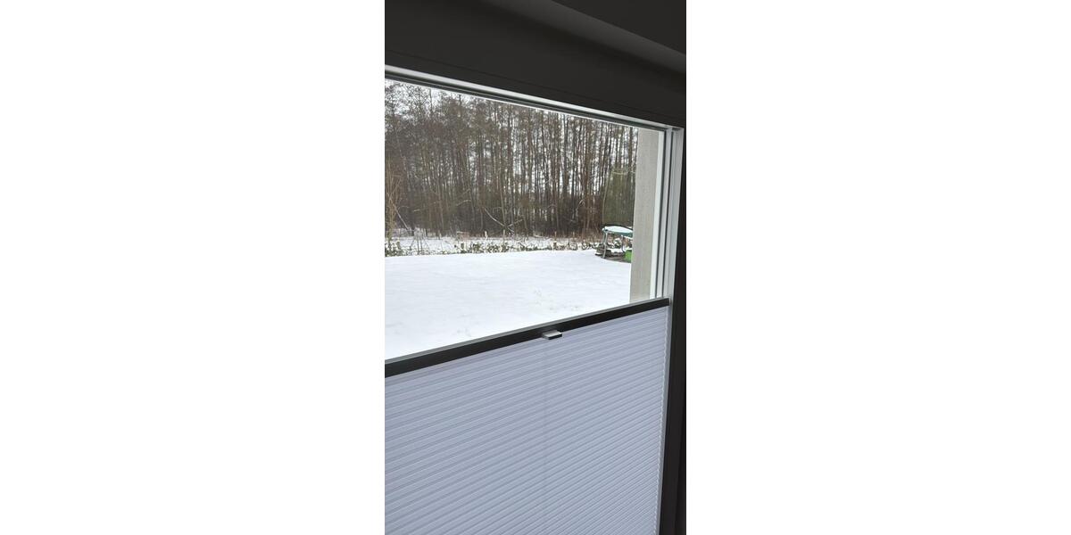 Etagenwohnung Lübeck Sankt Jürgen - 2 Zimmer, 38 m&sup2;, 910&euro; | Angebot:26366691