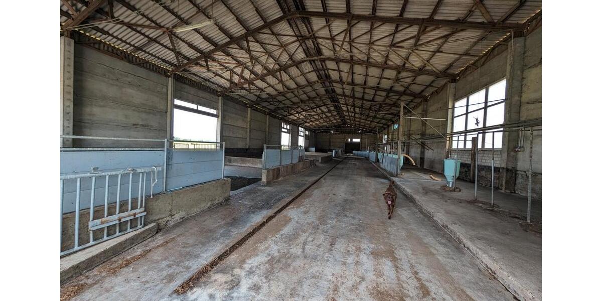 Gewerbeobjekt Jessen (Elster) - 2.800&euro; | Angebot:26460826