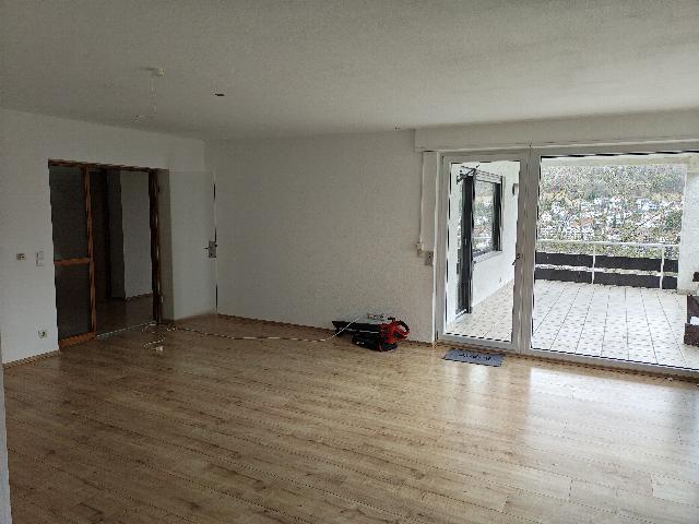 Erdgeschoßwohnung Albstadt - 3.5 Zimmer, 110 m&sup2;, 850&euro; | Angebot:26119996