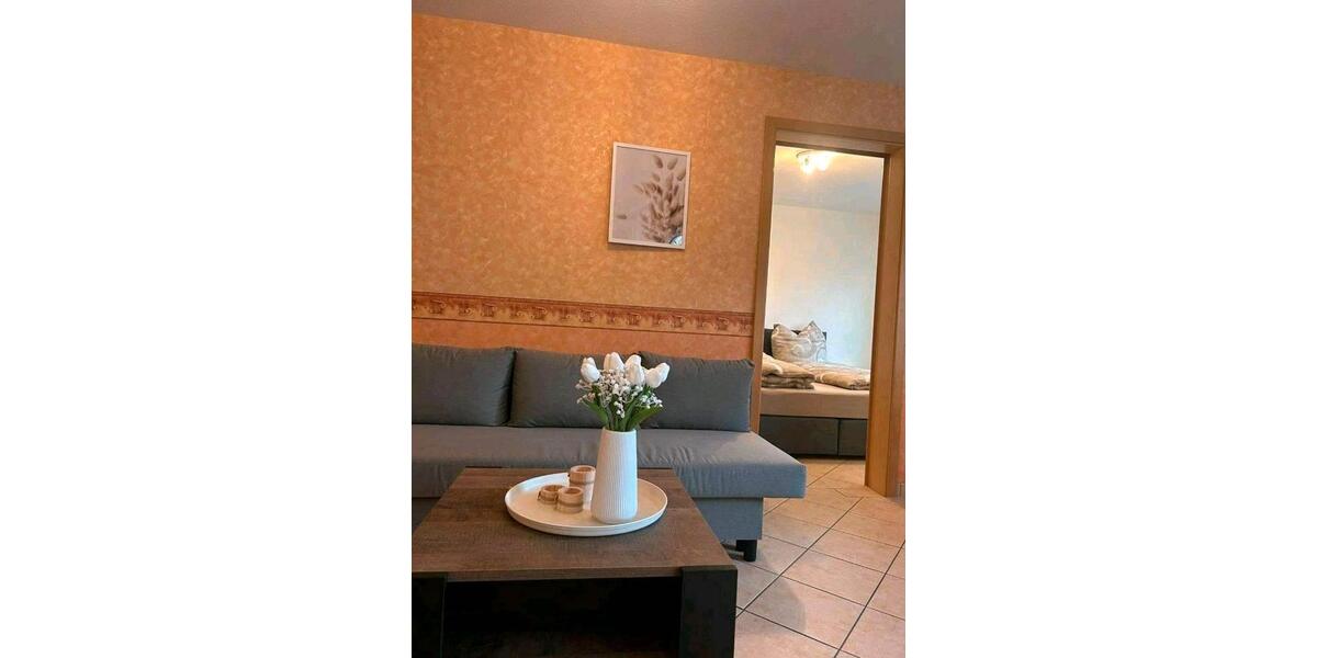 Wohnen auf Zeit Freiburg im Breisgau Munzingen - 1.5 Zimmer, 50 m&sup2;, 950&euro; | Angebot:26287089