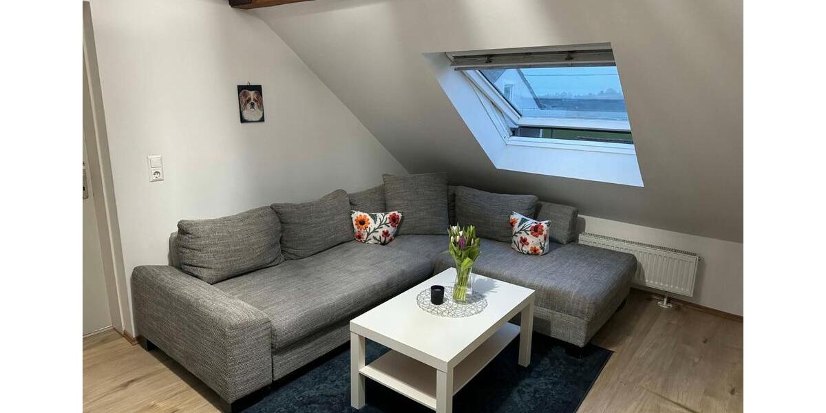 Dachgeschoßwohnung Langenau - 2 Zimmer, 50 m&sup2;, 550&euro; | Angebot:25876524