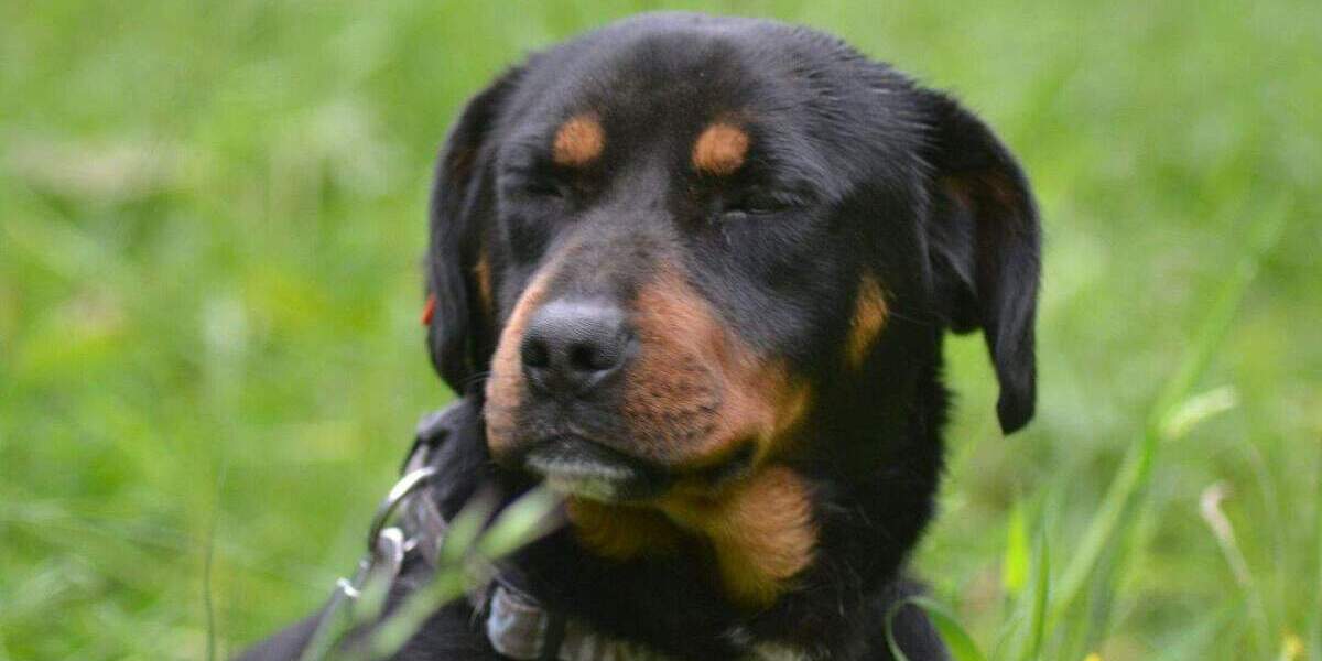 Terrassenwohnung Kochel am See Kochel - 3 Zimmer, 99 m&sup2;, 1.240&euro; | Angebot:25118147