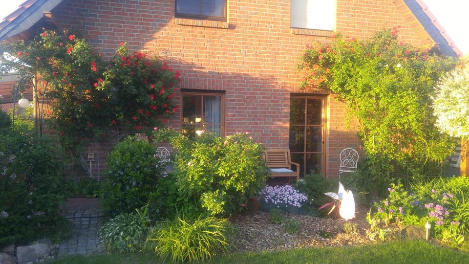 Einfamilienhaus Neetze - 5 Zimmer, 135 m&sup2;, 1.700&euro; | Angebot:25088905