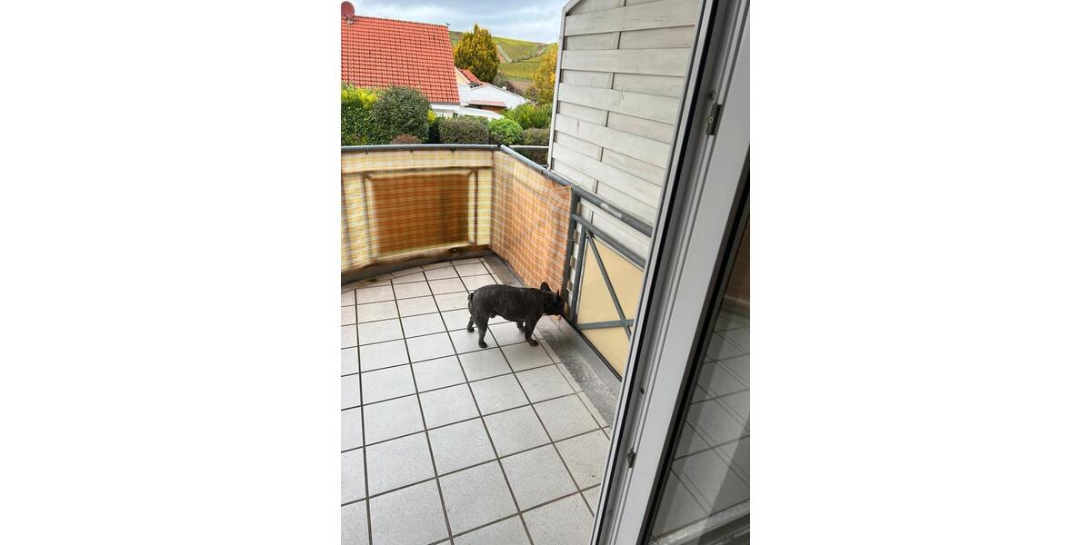 Etagenwohnung Armsheim - 3 Zimmer, 60 m&sup2;, 1.130&euro; | Angebot:26086075