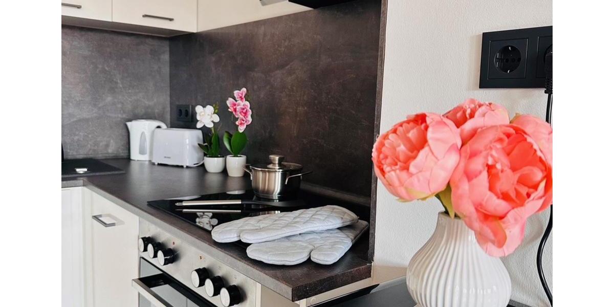 2-Zimmer-Appartement mit TV, Wlan, Doppelbett und Schlafcouch, Küche, BadWC, Waschmaschine und eigenem Parkplatz 2 zimmer