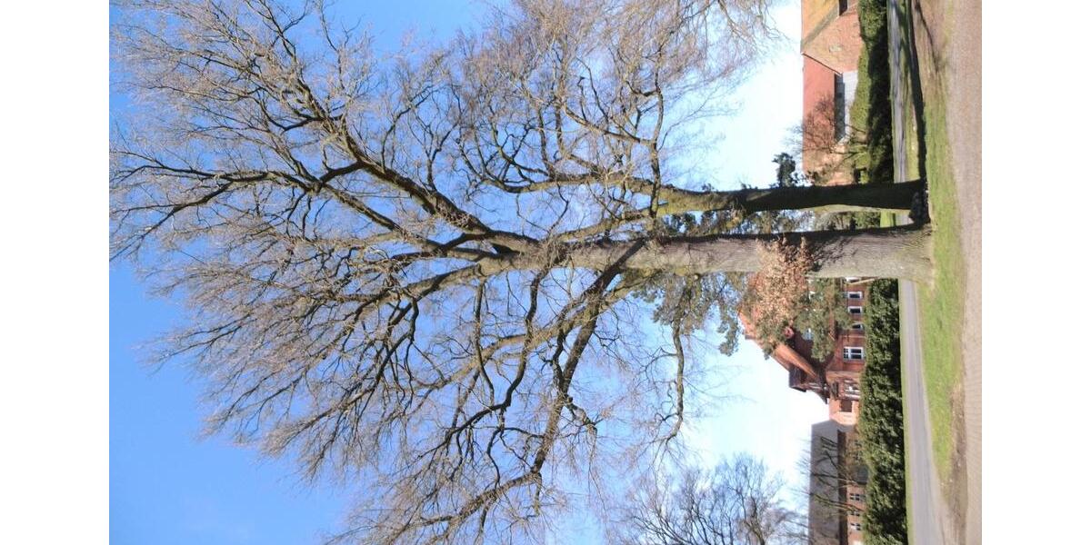 Etagenwohnung Harpstedt - 6 Zimmer, 150 m&sup2;, 1.250&euro; | Angebot:26026112