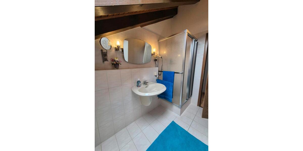 Wohnen auf Zeit Friesenheim - 1 Zimmer, 22 m&sup2;, 780&euro; | Angebot:26677488