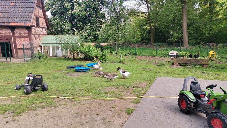 Etagenwohnung Rehburg-Loccum Loccum - 1 Zimmer, 18 m&sup2;, 250&euro; | Angebot:26070693