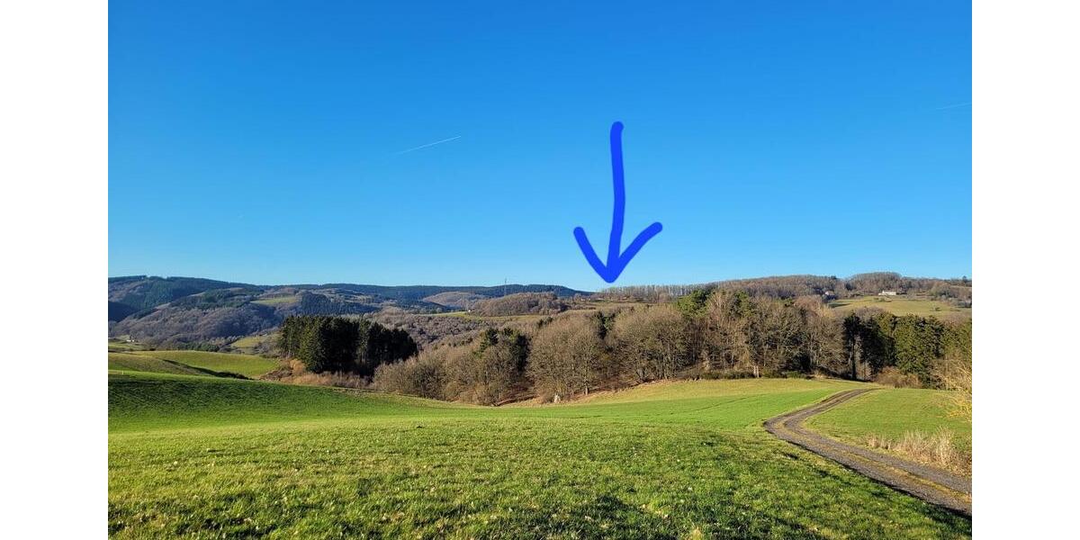 Etagenwohnung Pelm - 1 Zimmer, 16 m&sup2;, 450&euro; | Angebot:25323598