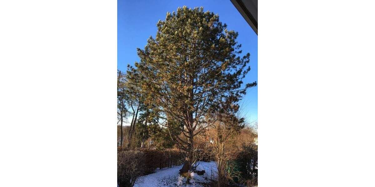 Bungalow Berg Kempfenhausen - 7 Zimmer, 210 m&sup2;, 4.500&euro; | Angebot:23975307