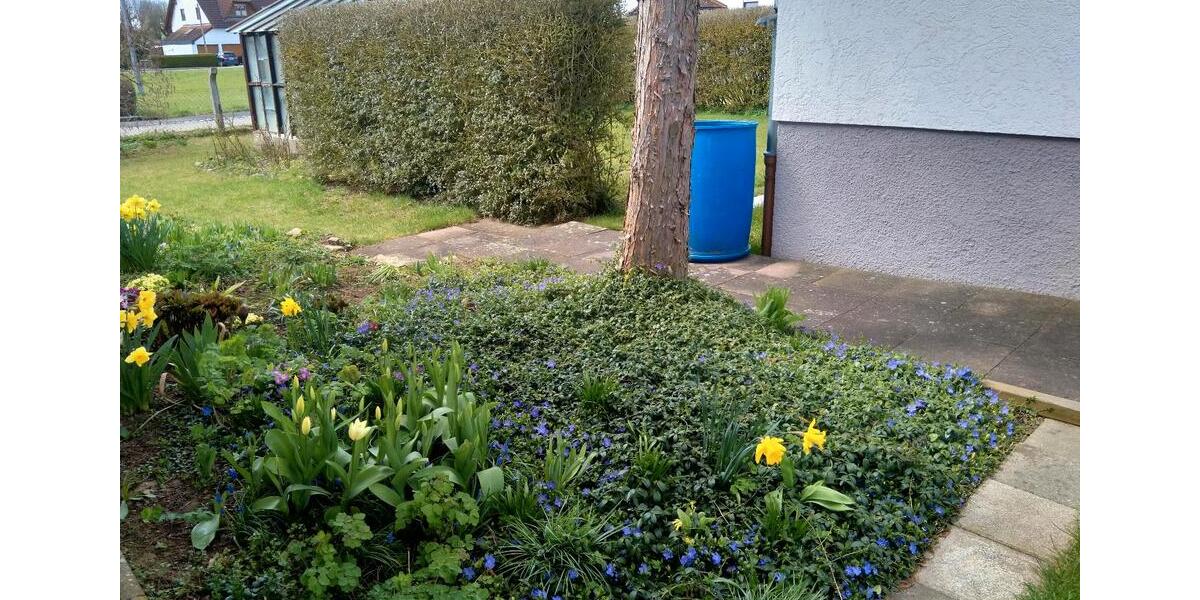 Einfamilienhaus Dillingen an der Donau - 4.5 Zimmer, 90 m&sup2;, 1.050&euro; | Angebot:26584376