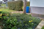Einfamilienhaus Dillingen an der Donau - 4.5 Zimmer, 90 m&sup2;, 1.050&euro; | Angebot:26584376