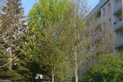 Wohnung Reinsdorf - 2 Zimmer, 47 m&sup2;, 280&euro; | Angebot:24875201