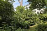 Etagenwohnung Köln Lindenthal - 2 Zimmer, 85 m&sup2;, 1.530&euro; | Angebot:26731055