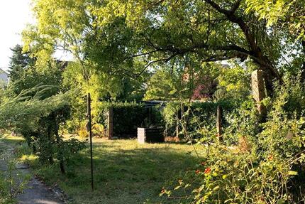 Wohnung Gießen Allendorf - 4 Zimmer, 85 m&sup2;, 1.100&euro; | Angebot:25237753