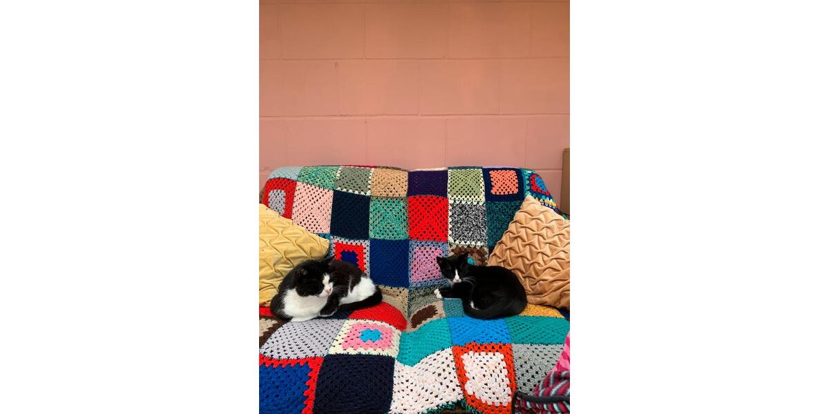 Wohnen auf Zeit Sankt Ingbert - 5 Zimmer, 130 m&sup2;, 1.150&euro; | Angebot:24728042