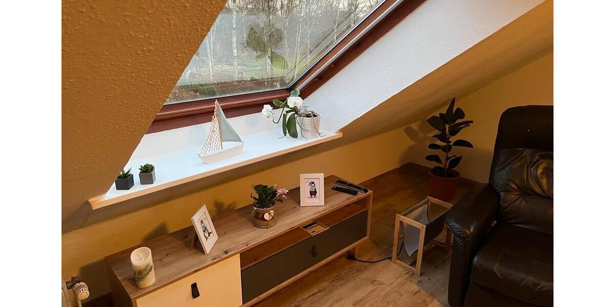 Wohnen auf Zeit Bad Zwischenahn - 1 Zimmer, 20 m&sup2;, 725&euro; | Angebot:24697076