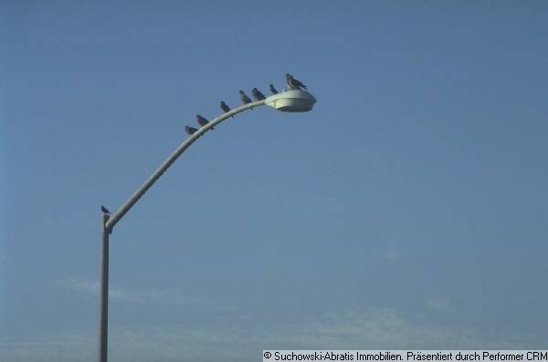 Gewerbeobjekt Lübben - 1.080&euro; | Angebot:25768285