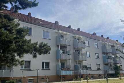Wohnung Lutherstadt Wittenberg Kleinwittenberg - 3 Zimmer, 61 m&sup2;, 315&euro; | Angebot:26863924