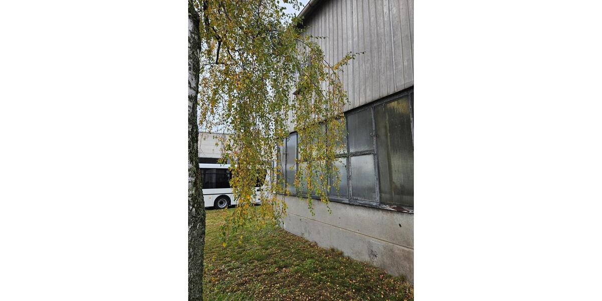 Gewerbeobjekt Wittenberg Lutherstadt - 3&euro; | Angebot:23588007