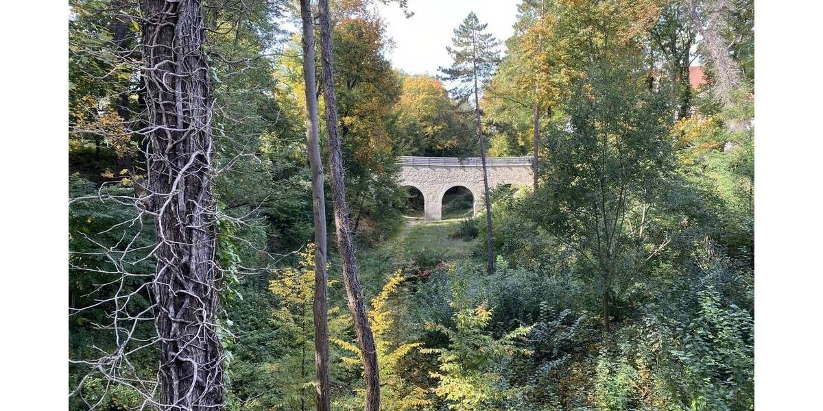 Etagenwohnung Glauchau - 1 Zimmer, 36 m&sup2;, 250&euro; | Angebot:26207412