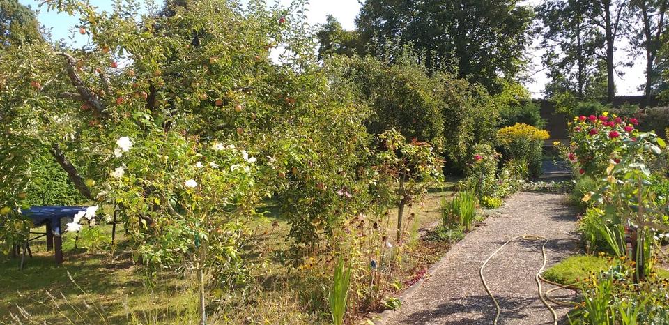 Etagenwohnung Obernburg am Main - 4 Zimmer, 1.500&euro; | Angebot:24864530