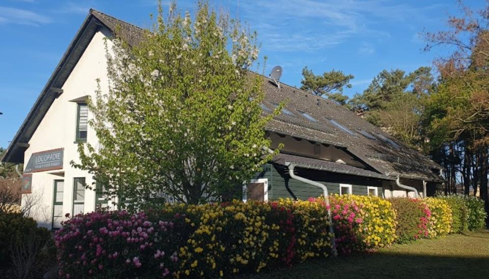 Dachgeschoßwohnung Jessen (Elster) - 2 Zimmer, 78 m&sup2;, 695&euro; | Angebot:25884908