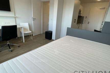 Wohnen auf Zeit in Mainz 790 € 1 zimmer
