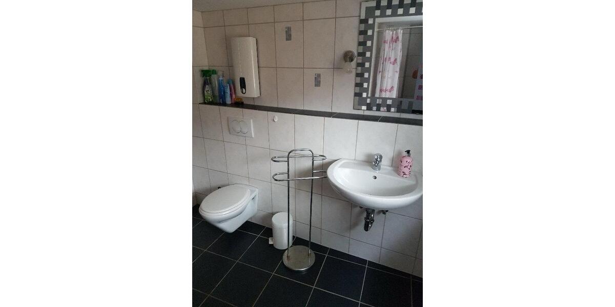 Wohnen auf Zeit Trier West-Pallien - 1 Zimmer, 25 m&sup2;, 460&euro; | Angebot:26516229