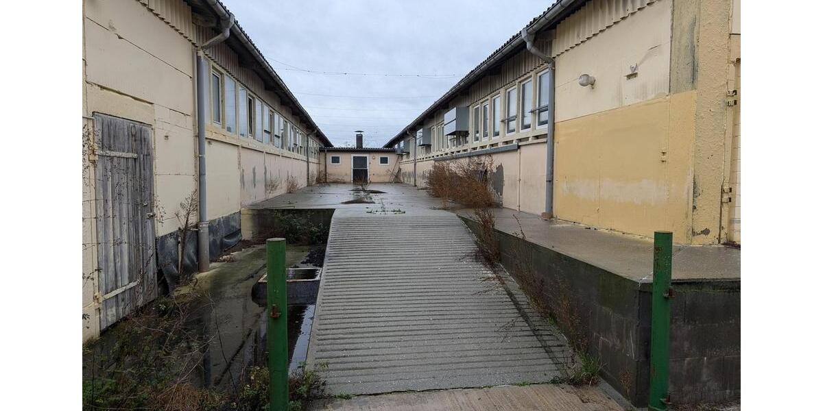 Gewerbeobjekt Jessen (Elster) - 785&euro; | Angebot:24373632