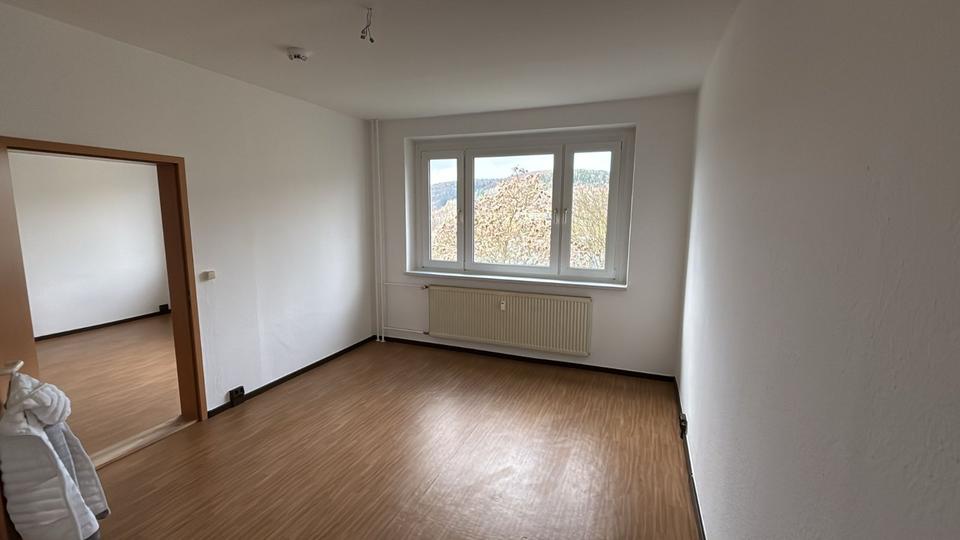 Erdgeschoßwohnung Meiningen - 2 Zimmer, 47 m&sup2;, 215&euro; | Angebot:25934031