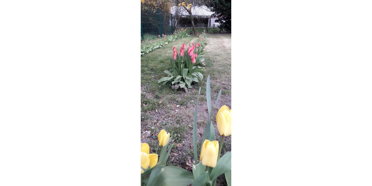 Erdgeschoßwohnung Paderborn Univiertel - 1 Zimmer, 25 m&sup2;, 350&euro; | Angebot:25882211