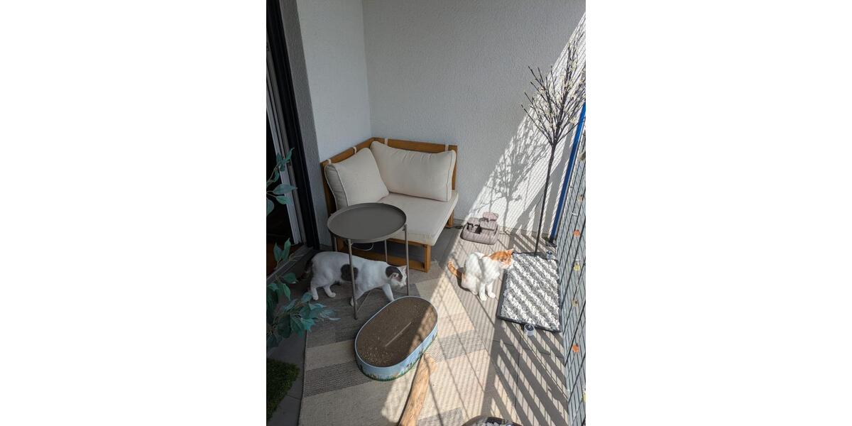 Erdgeschoßwohnung Hildesheim Oststadt/Stadtfeld - 3 Zimmer, 91 m&sup2;, 1.068&euro; | Angebot:26636522