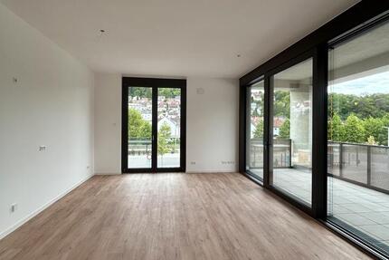 Urbane Neubauwohnung in den Blauhöfen: 3,5 Zimmer und Loggia mit Abendsonne 3 zimmer