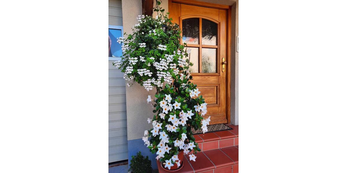 Schöne 4-Zimmer Maisonette-Wohnung in Oberhaid (2 Balkone+Garage) 4 zimmer