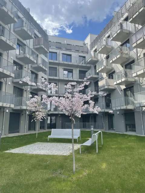 Wohnung zum Mieten in Magdeburg 466,62 € 33.33 m²