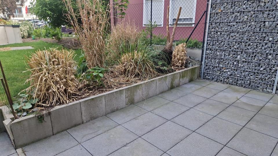 Erdgeschoßwohnung Deggendorf - 1.5 Zimmer, 45 m&sup2;, 900&euro; | Angebot:26626305