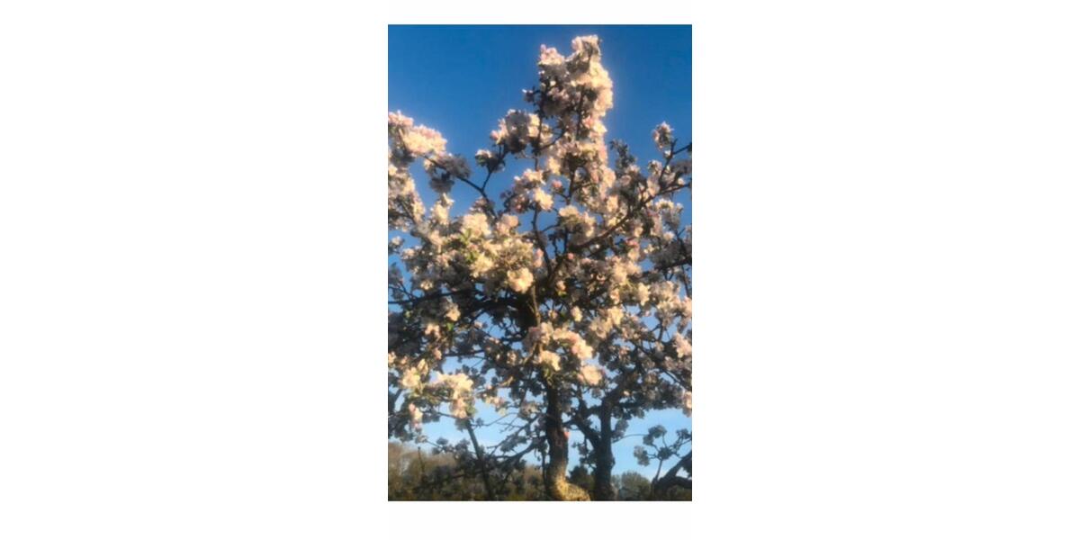 Wohnen auf Zeit Riegelsberg - 4 Zimmer, 120 m&sup2;, 320&euro; | Angebot:25432417