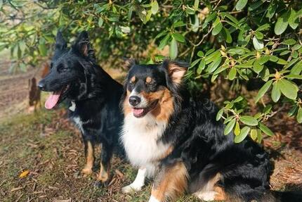 Wohnen auf Zeit Naila - 17 Zimmer, 75 m&sup2;, 380&euro; | Angebot:24811260