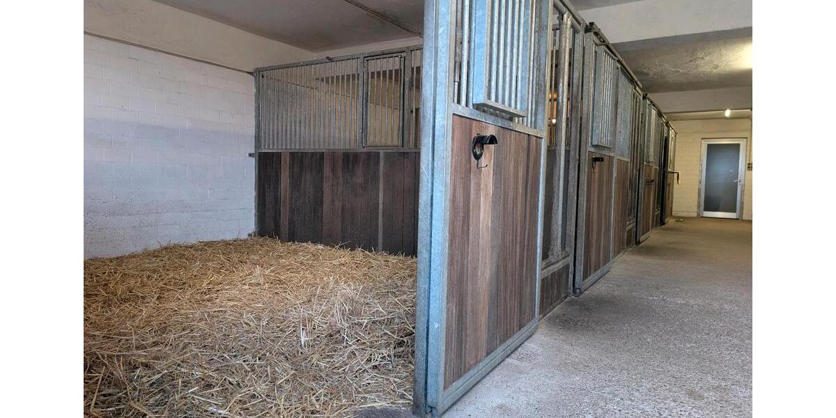 Etagenwohnung Gescher - 6 Zimmer, 110 m&sup2;, 1.250&euro; | Angebot:24808585