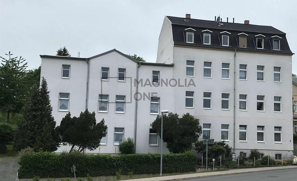 Schöne Wohnung in Gößnitz zu vermieten 1 zimmer