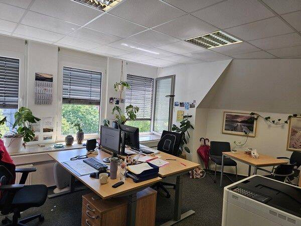 Gewerbeobjekt Osnabrück Innenstadt - 1 Zimmer, 396 m&sup2;, 4.600&euro; | Angebot:25778735