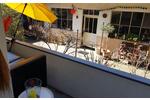 2 Zimmer in 3er-WG – Bonn Altstadt EG Altbau – 22 qm – plus Katze