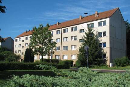 Wohnung Zielitz - 3 Zimmer, 67 m&sup2;, 405&euro; | Angebot:25931041