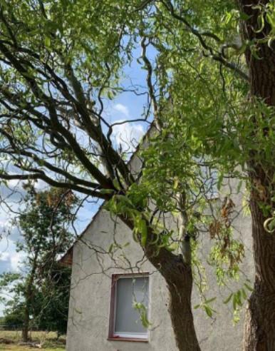 Wohnen im Grünen: Haus am Ortsrand