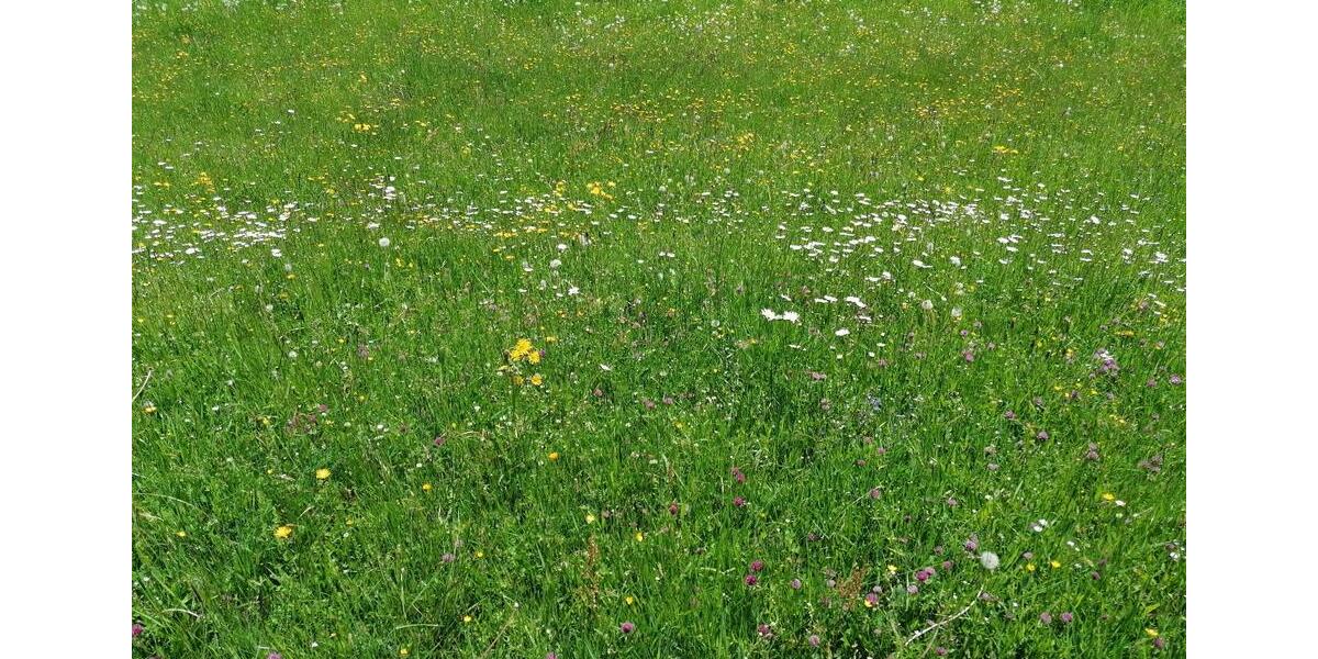 Dachgeschoßwohnung Senden - 3.5 Zimmer, 80 m&sup2;, 850&euro; | Angebot:24771841