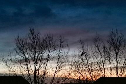 Wohnung Erfurt Andreasvorstadt - 1 Zimmer, 14 m&sup2;, 450&euro; | Angebot:24755917